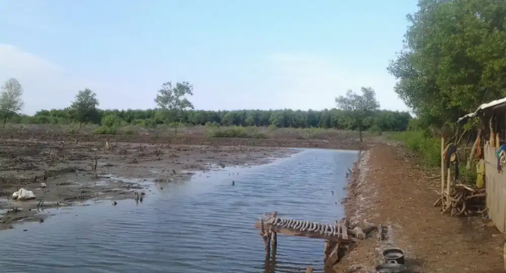 DI JUAL TANAH MURAH STRATEGIS NEMPEL PT WAHANA DI PELABUHAN PATIMBAN