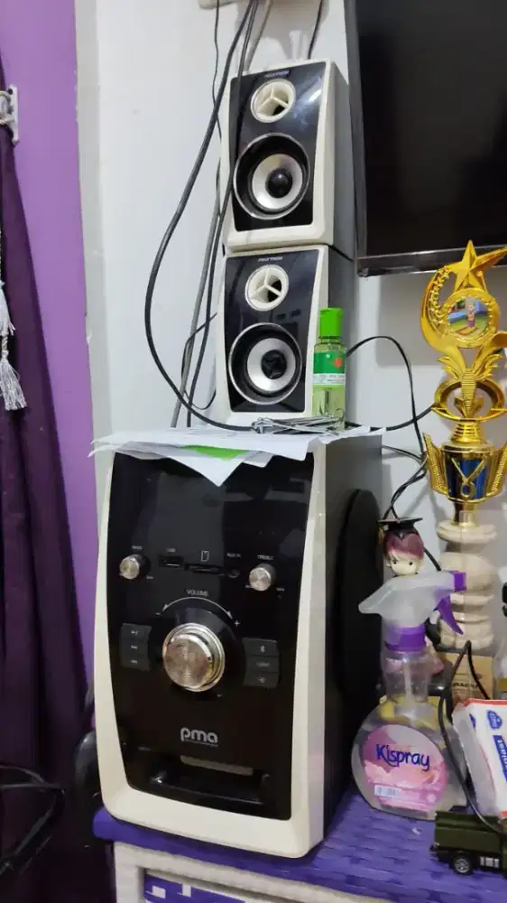 Speaker Polytron