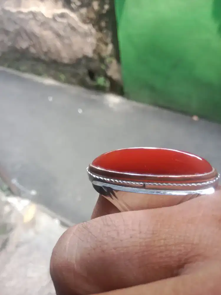 Pandan merah sisik betik rapih