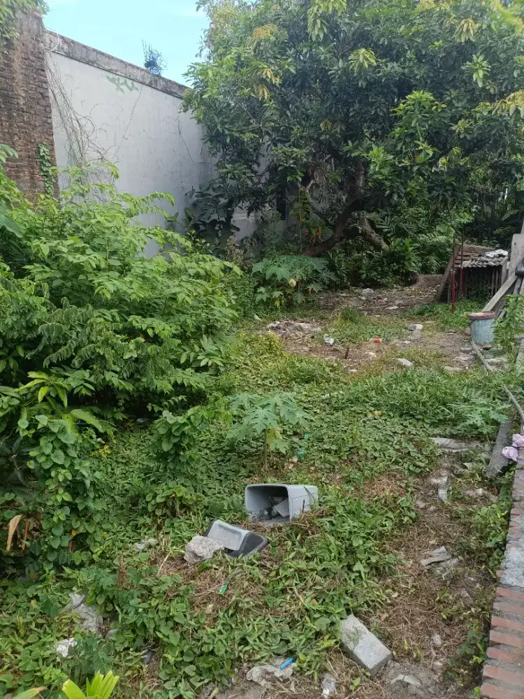 Jual Tanah Kebun Sidoarjo SHM