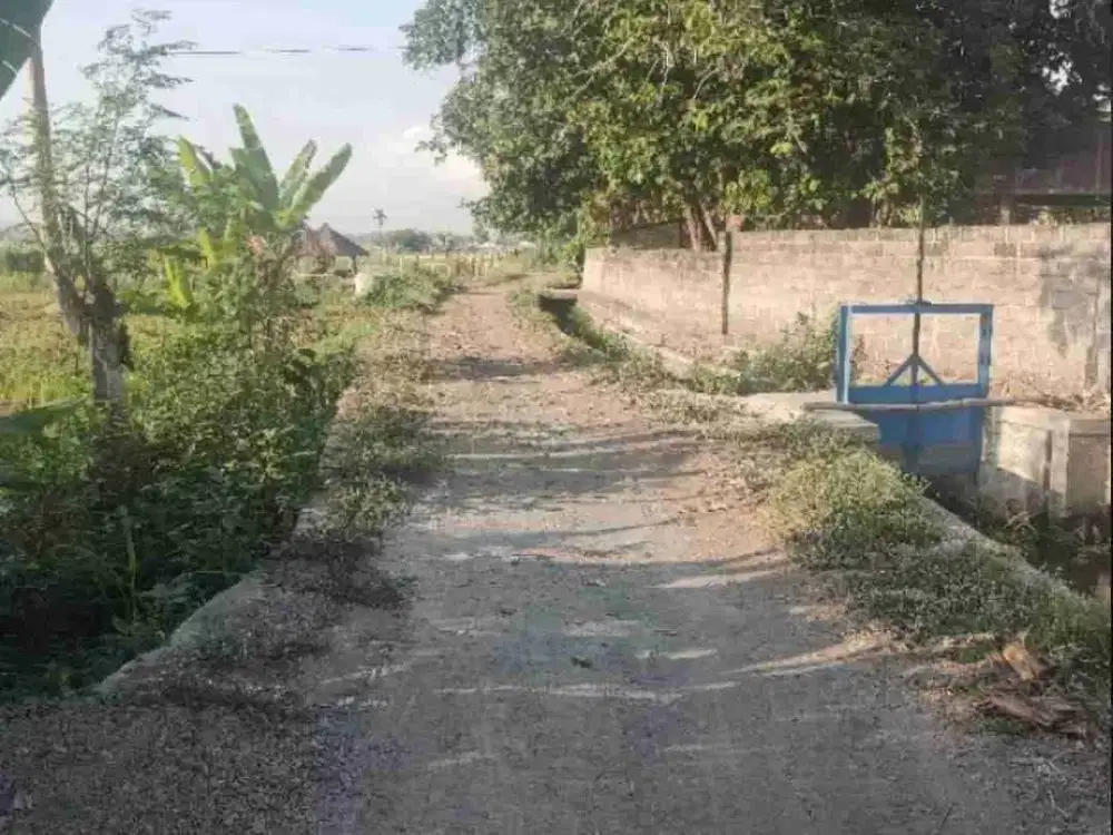 Tanah Sawah Cocok untuk Kavling dan Perumahan