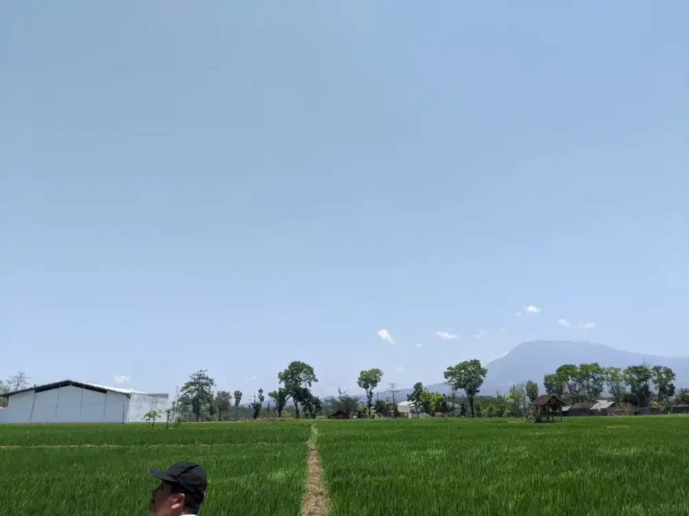 Tanah Nol Jalan Strategis Komersial