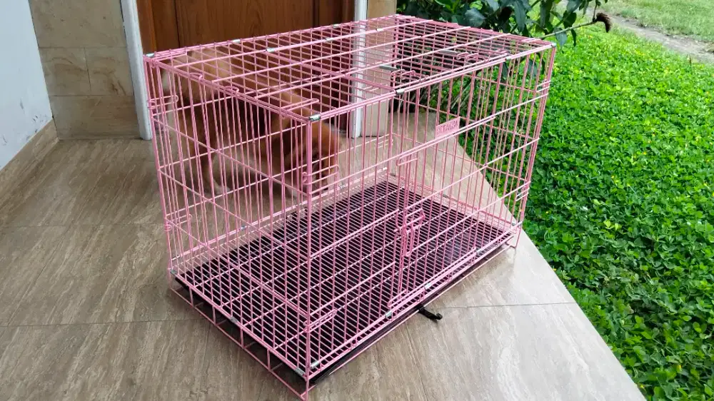 Kandang Anjing/Kucing merk Octagon