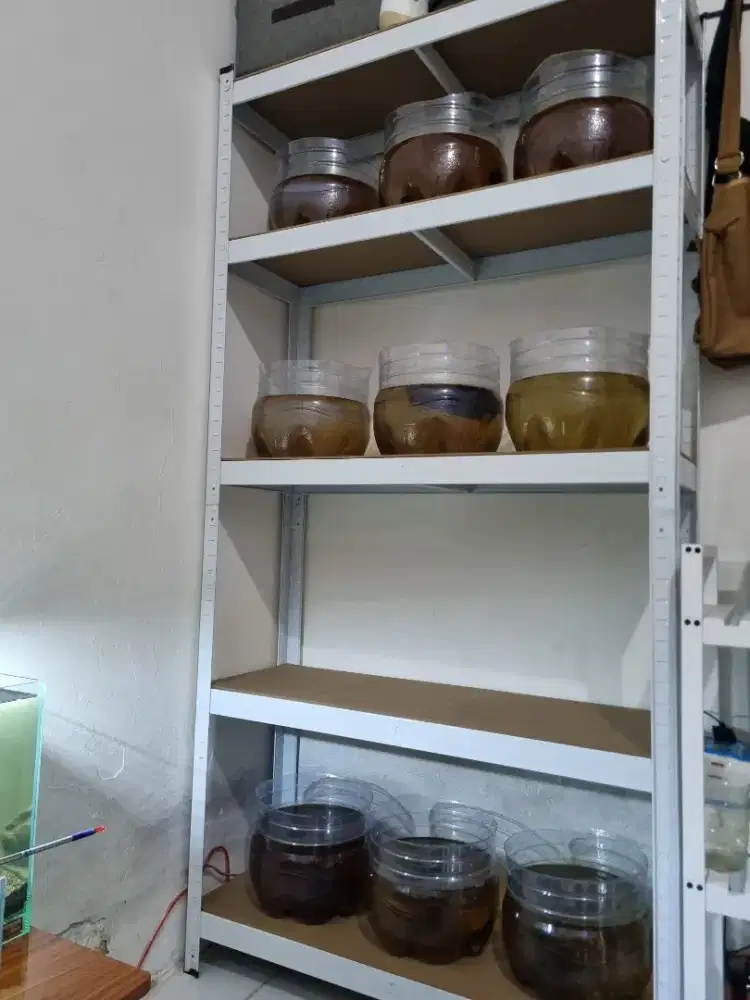 JUAL RAK BESI ANTI KARAT 5 LANTAI