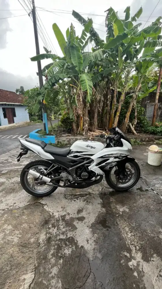 ninja rr putih 2012