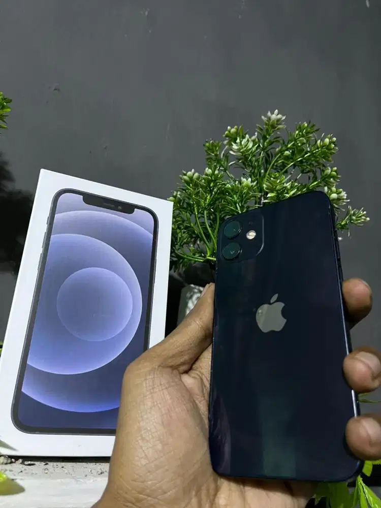 Iphone 12 mini 64 ibox murah