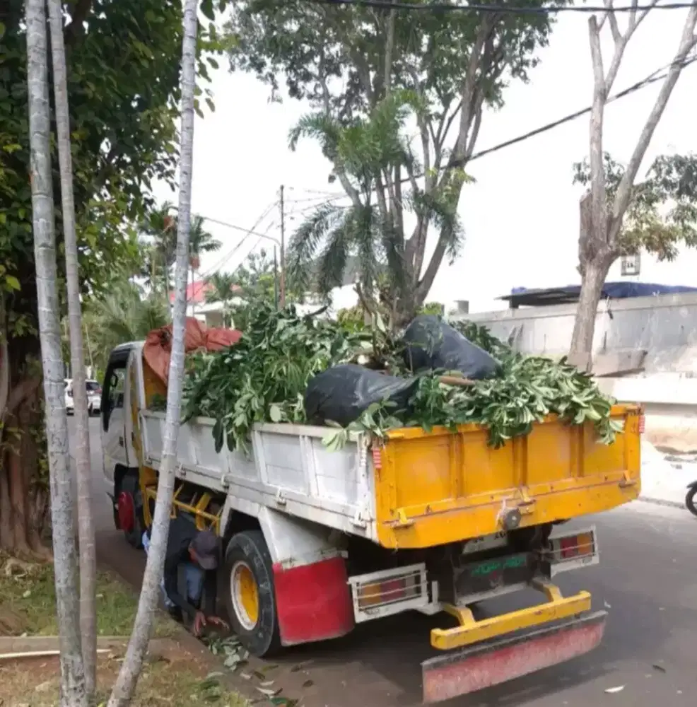 Barangkali periyogi mobil kanggo buang ranting pohon siap di angkut