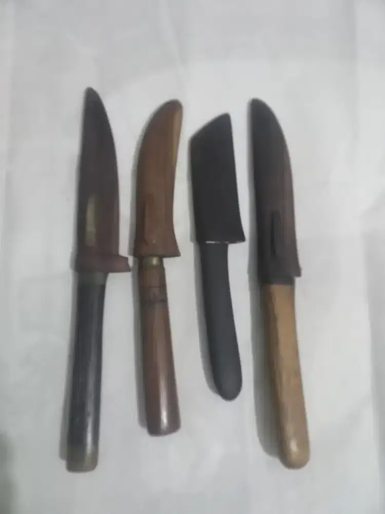Pusau set okulasi
