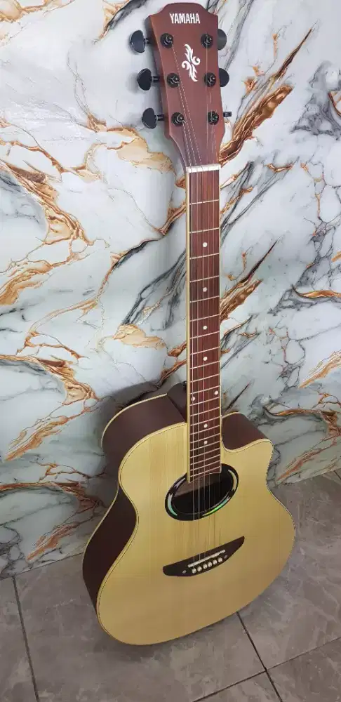 Gitar acustik apx500 custom