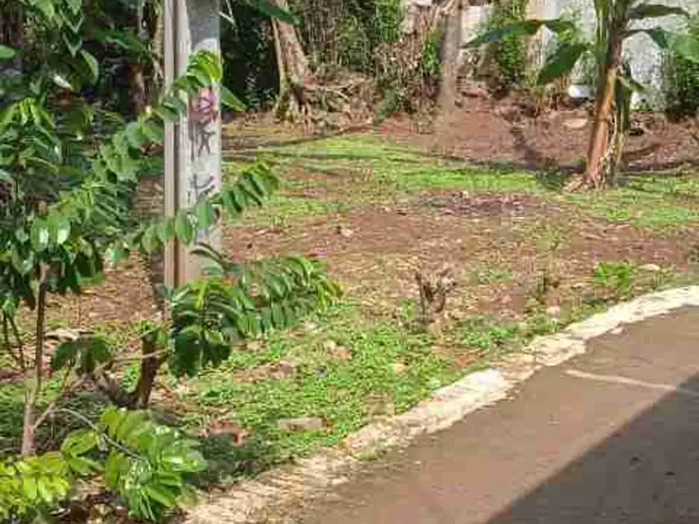 JUAL TANAH BUAT RUMAH TINGGAL GUNUNG SINDUR