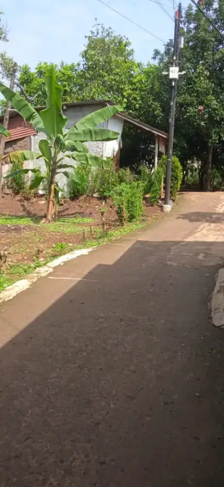 JUAL TANAH BUAT RUMAH TINGGAL GUNUNG SINDUR