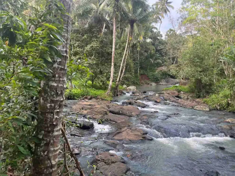 jual tanah los sungai besar.22,90 are hrga25 jt/ are