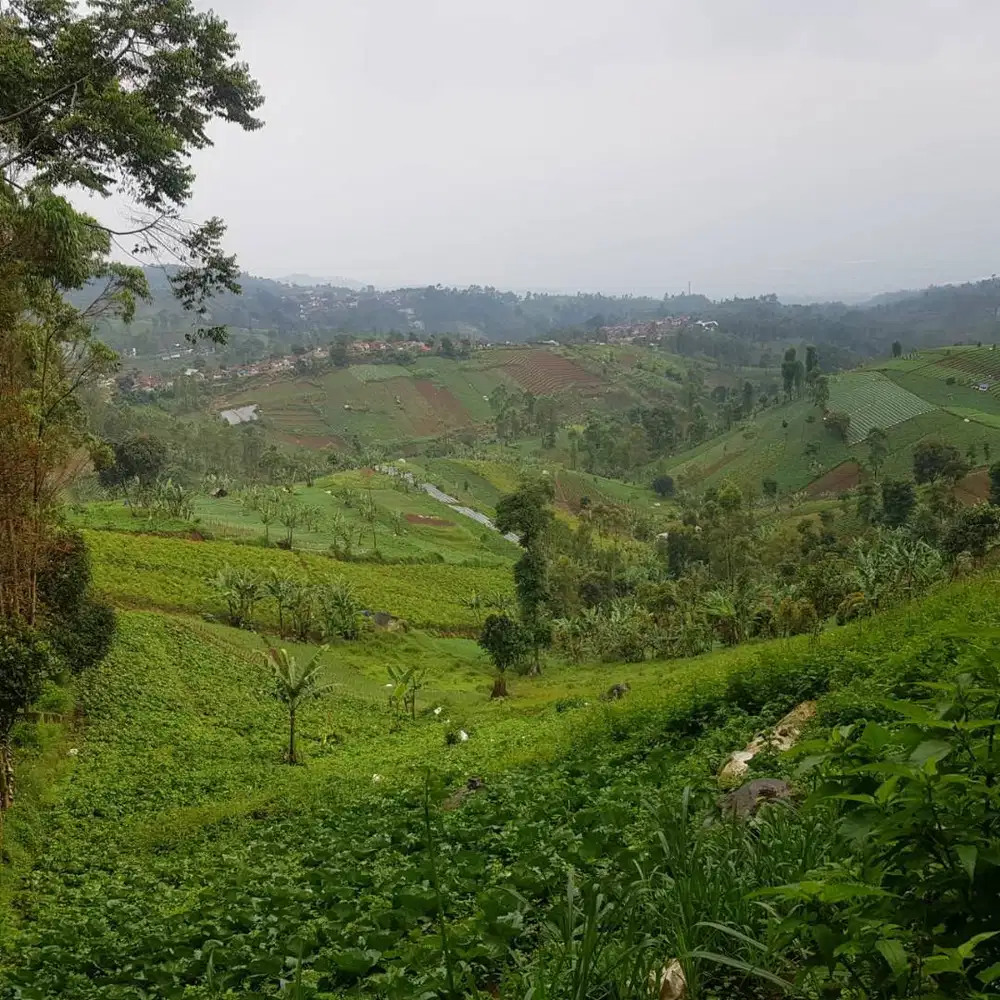 Dijual Tanah Shm 7.000 M2 Cimenyan Bandung