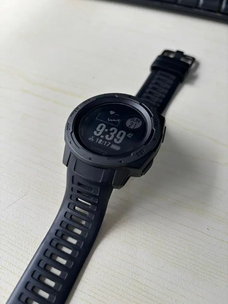 Garmin insticnt