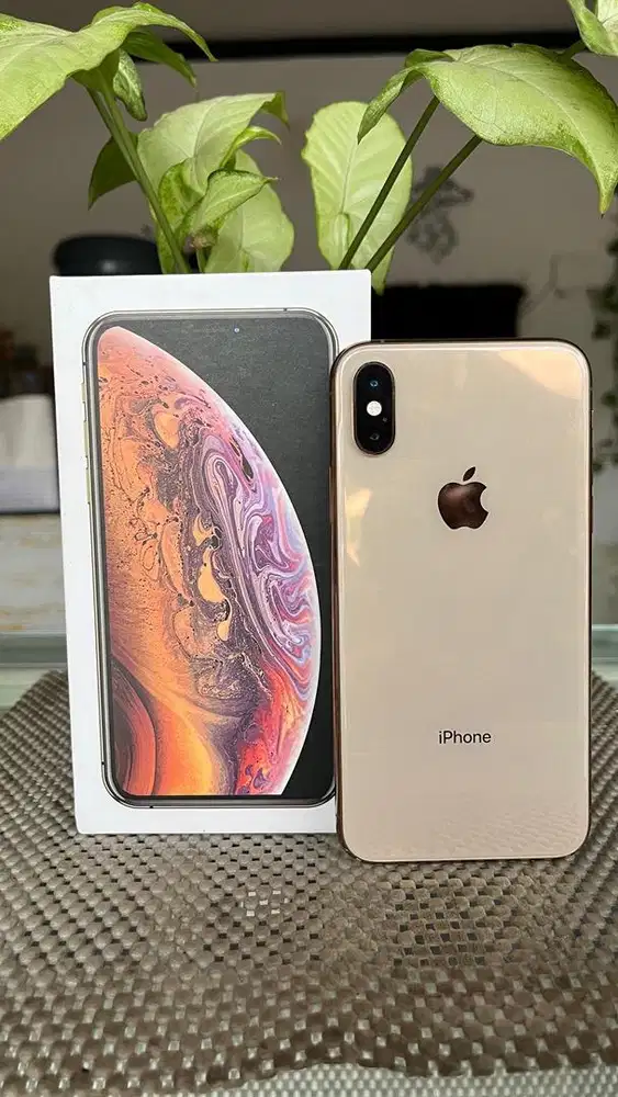 iphone xs 256gb sinyal aman wifi gabisa