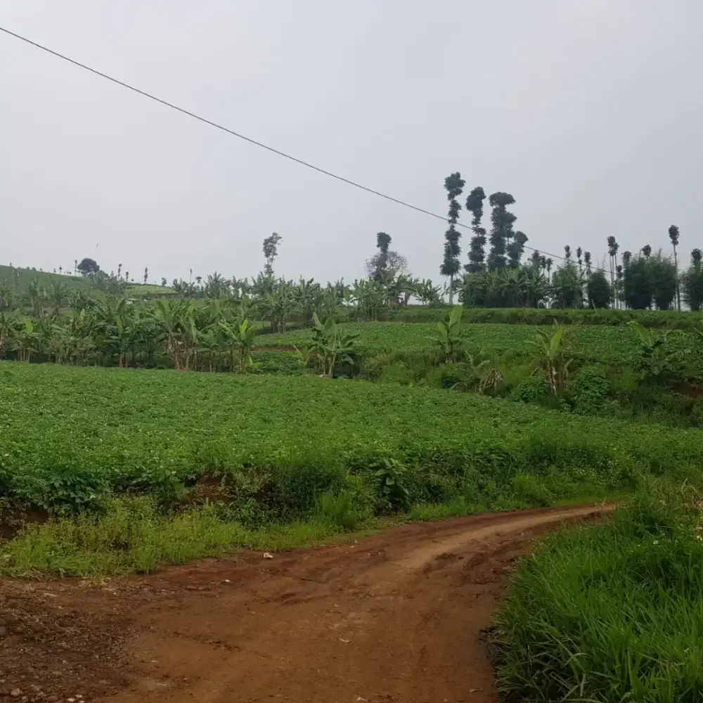 Dijual Tanah SHM 15.270 M2 Cimenyan Tembungtuhur Bandung
