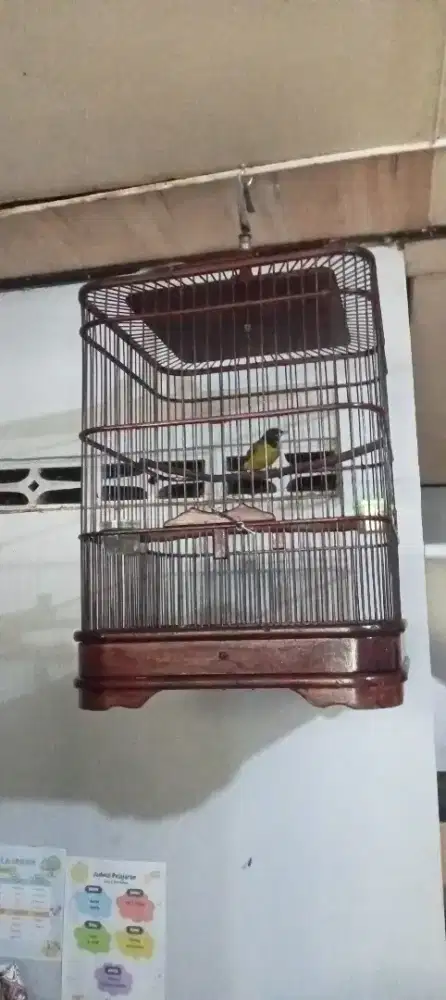 Samyong Jantan Pastol