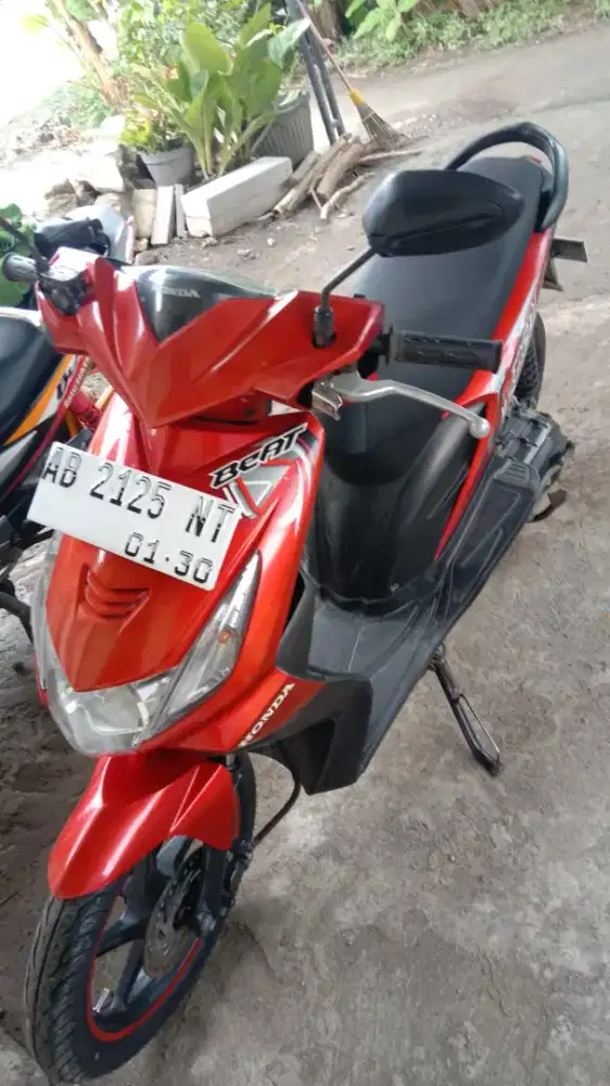 Beat karbu 2009
