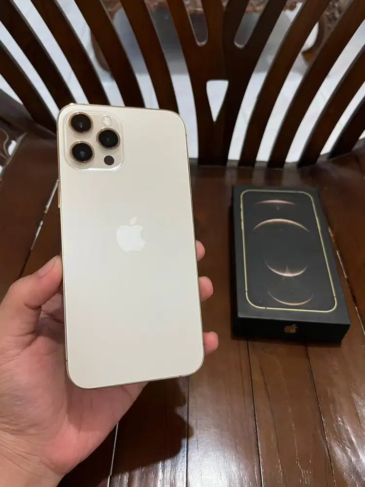 Iphone 12 Promax 256gb Gold, Ori Mulus