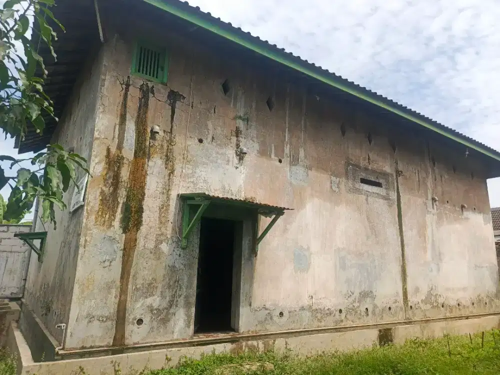 Jual tanah bonus rumah walet