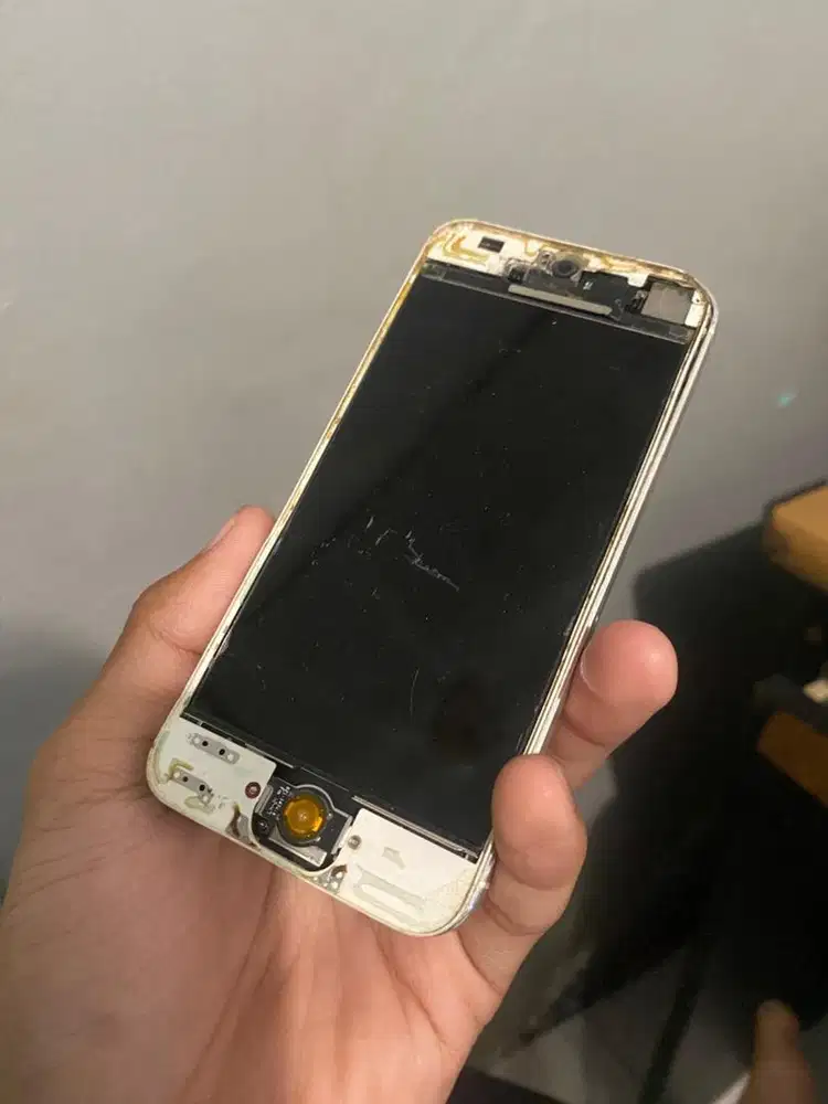 iPhone 5 Silver