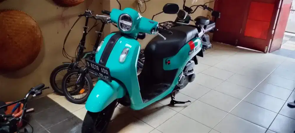Fazzio 2022 km 8rb antik