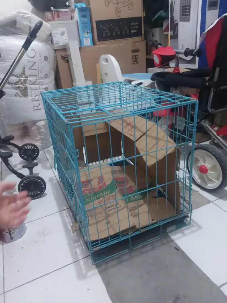 kandang kucing bekas