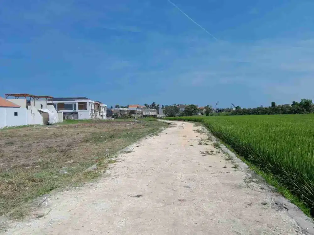 TANAH SEWA 5,3 ARE PANTAI SESEH