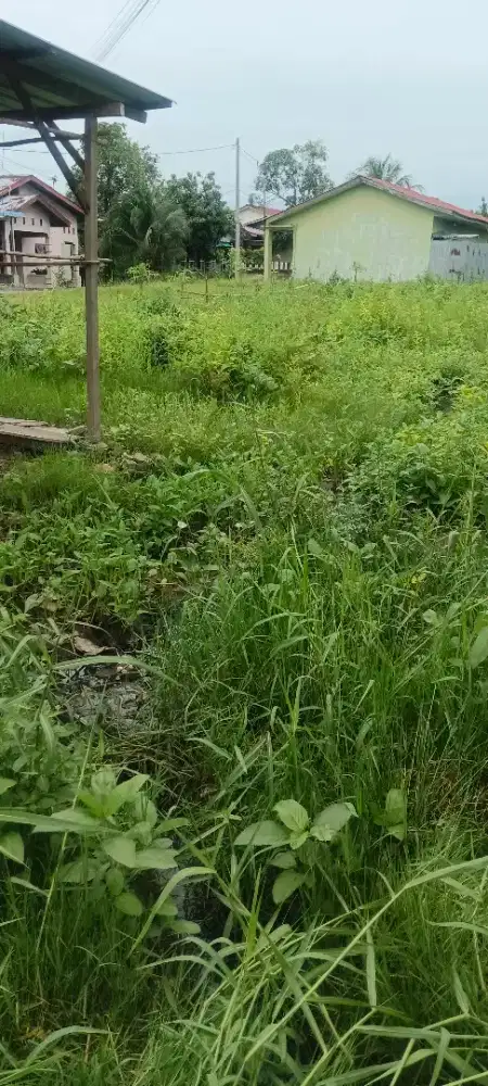 Jual tanah SHM (Nego), tanpa perantara langsung pemilik.