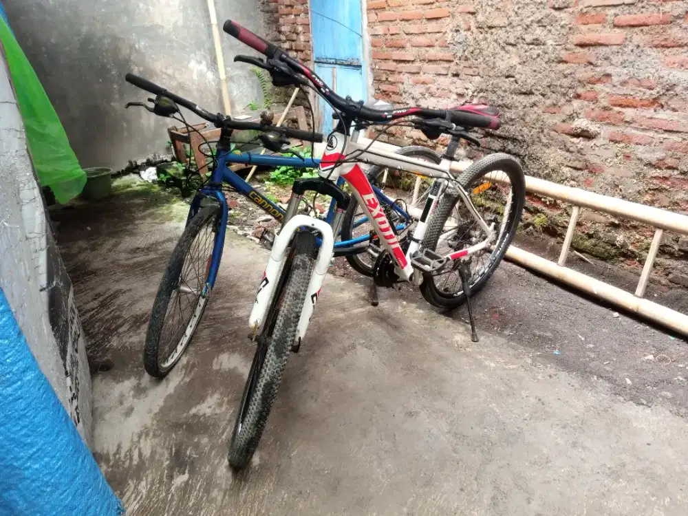 Sepeda Exotic dan Canondale