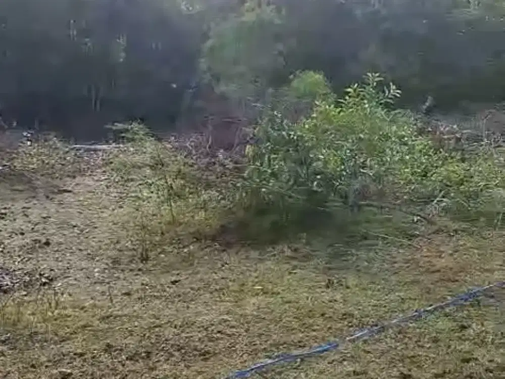 Tanah 11.200m² kawasan GWK ungasan badung bali