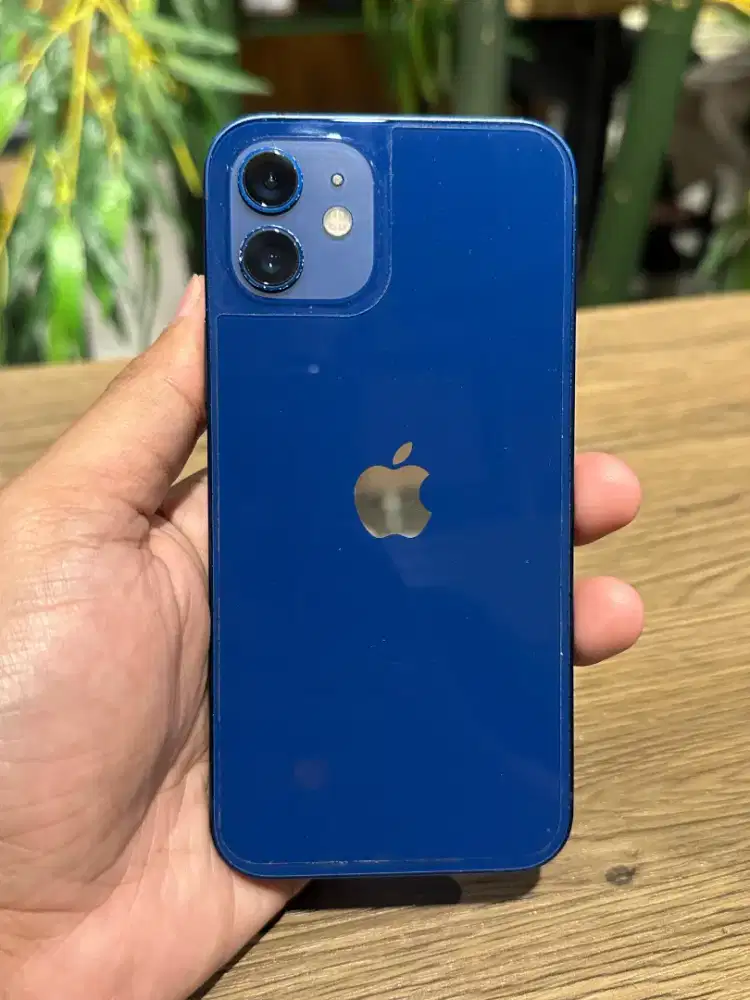 Iphone 12 64Gb Allop