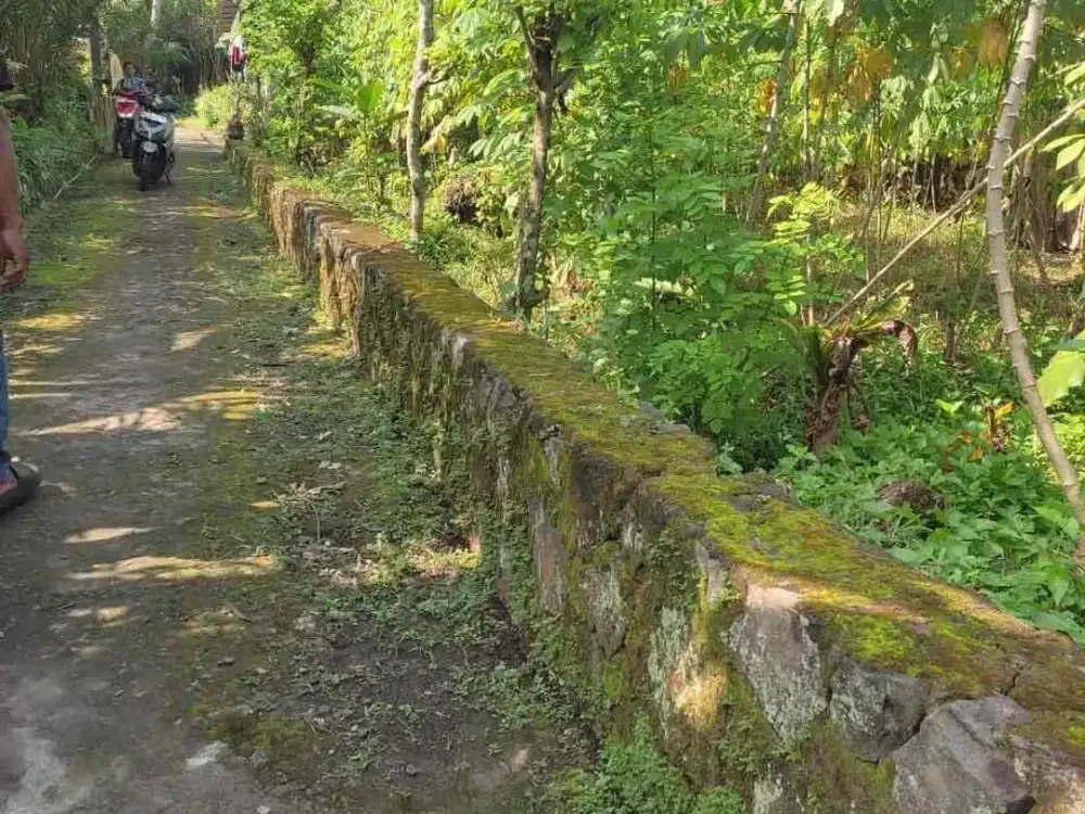 Dijual Tanah Pekarangan Murah di Bangunrejo Turi Tempel