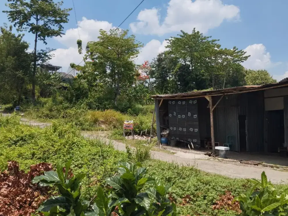 Murah dijual tanah siap bangun sambiroto dekat unimus cocok untk kos