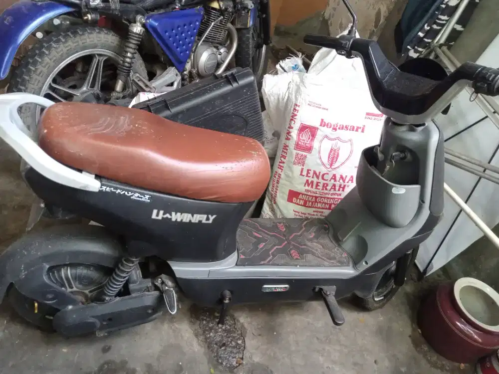 Sepeda listrik winfly DS 8