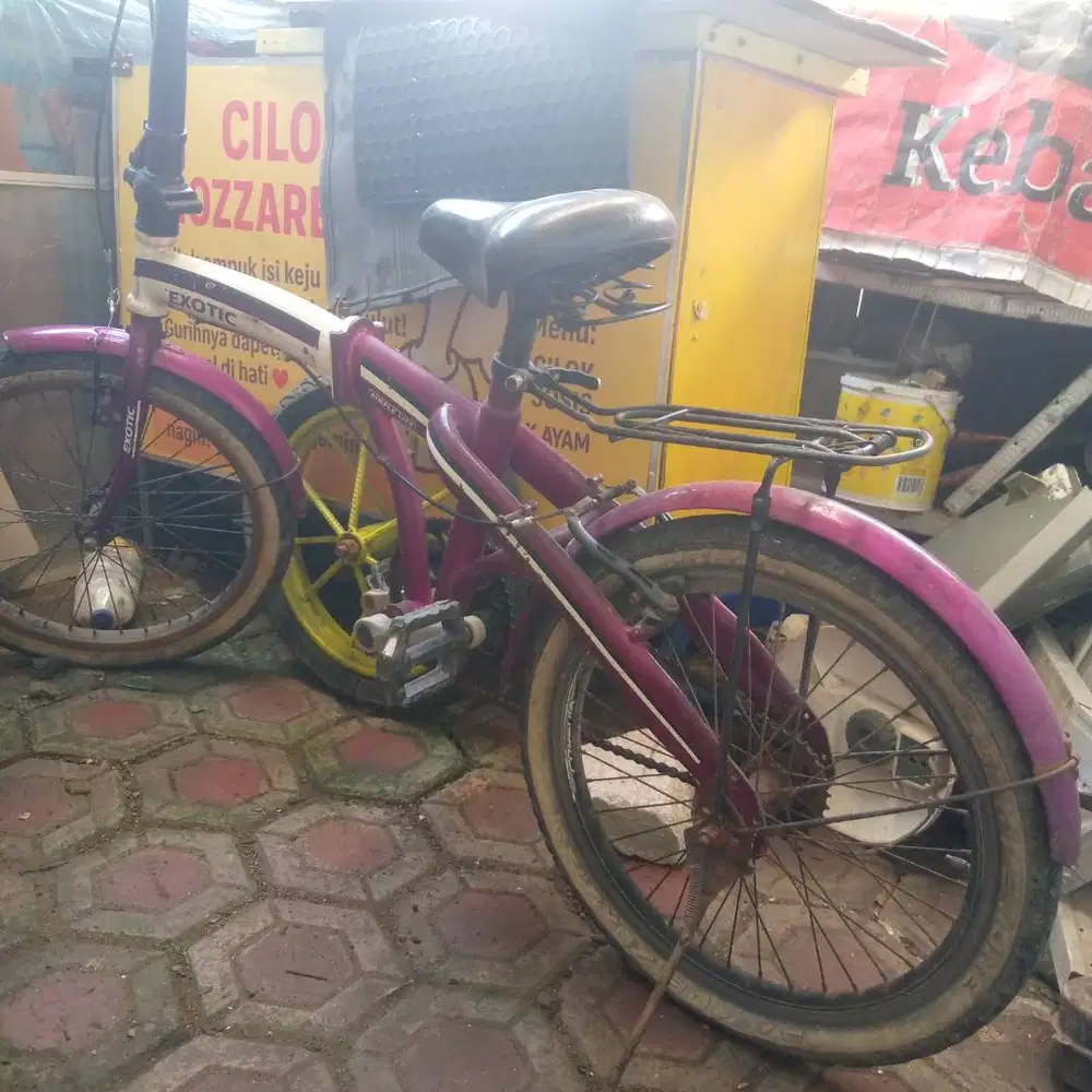 Sepeda lipat exotik