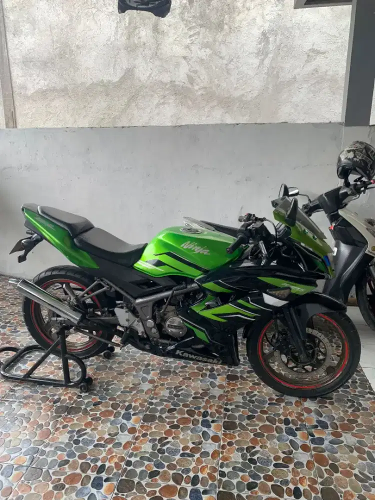 Kawasaki ninja rr new