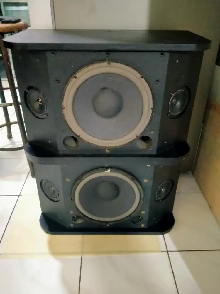 Speker BMB 10 inch normal