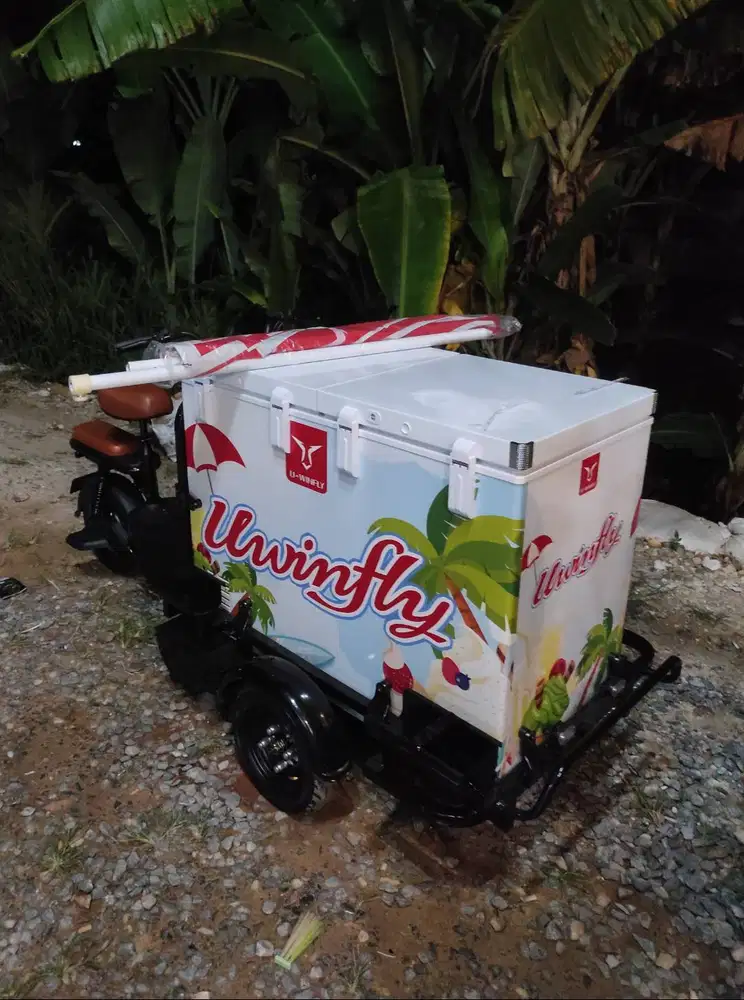 Gerobak sepeda listrik uwinfly payakumbuh