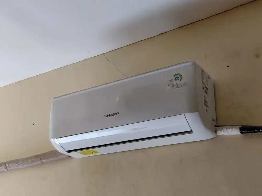 Ac Sharp 1/2 pk