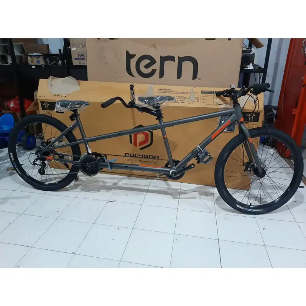 Sepeda Polygon Limited Edition