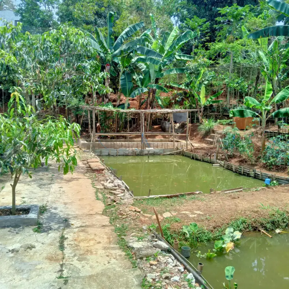 Jual Tanah Darat & Kolam Ikan