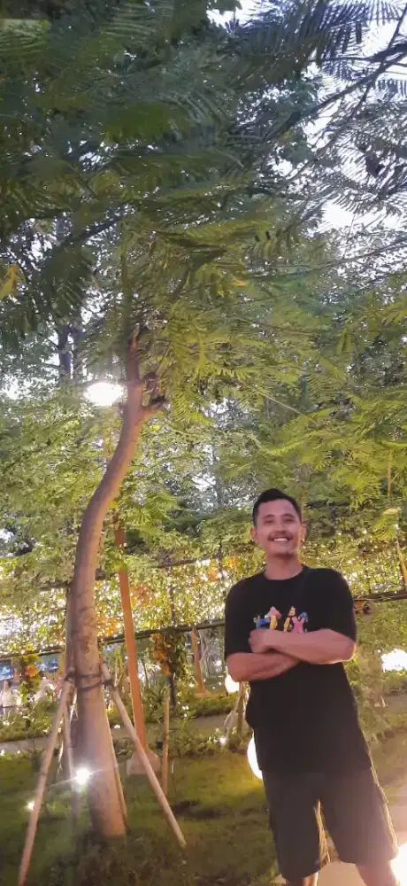 Mencari pekerjaan sebagai supir pribadi
