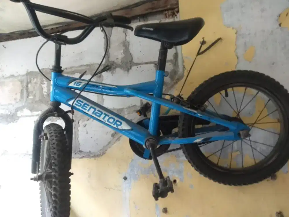sepeda bekas masih bagus