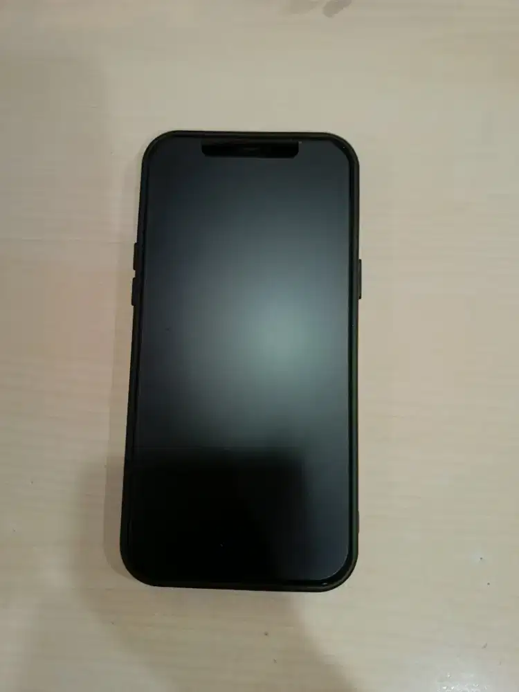 HP iPhone 12 Promax