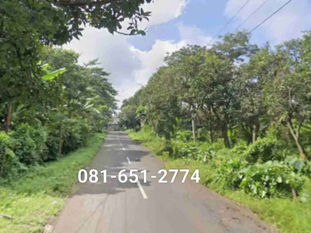 Tanah di Pontir Pasuruan