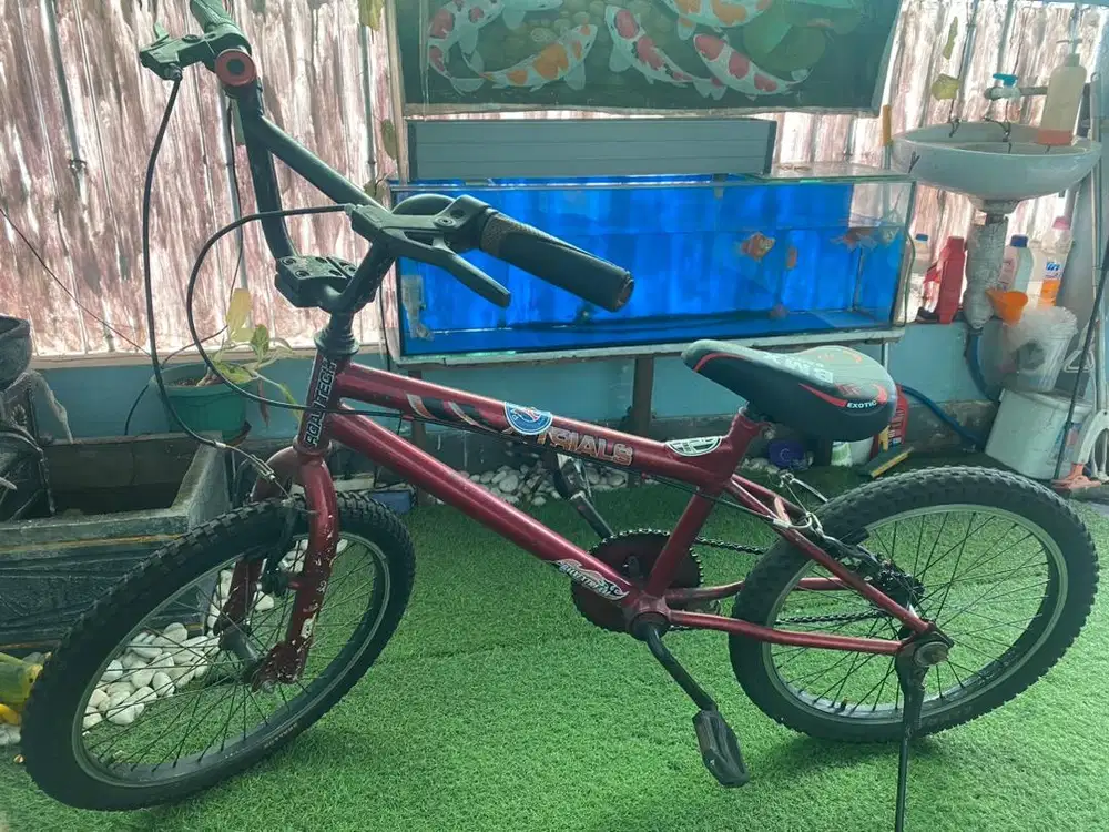 Jual sepeda anak ring 20