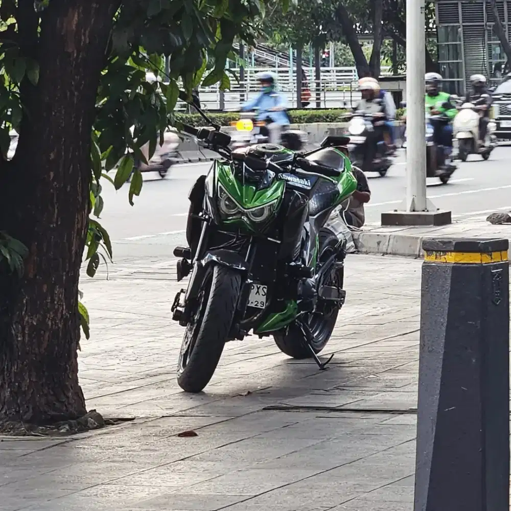 Kawasaki Z800 Green 2013 full paper