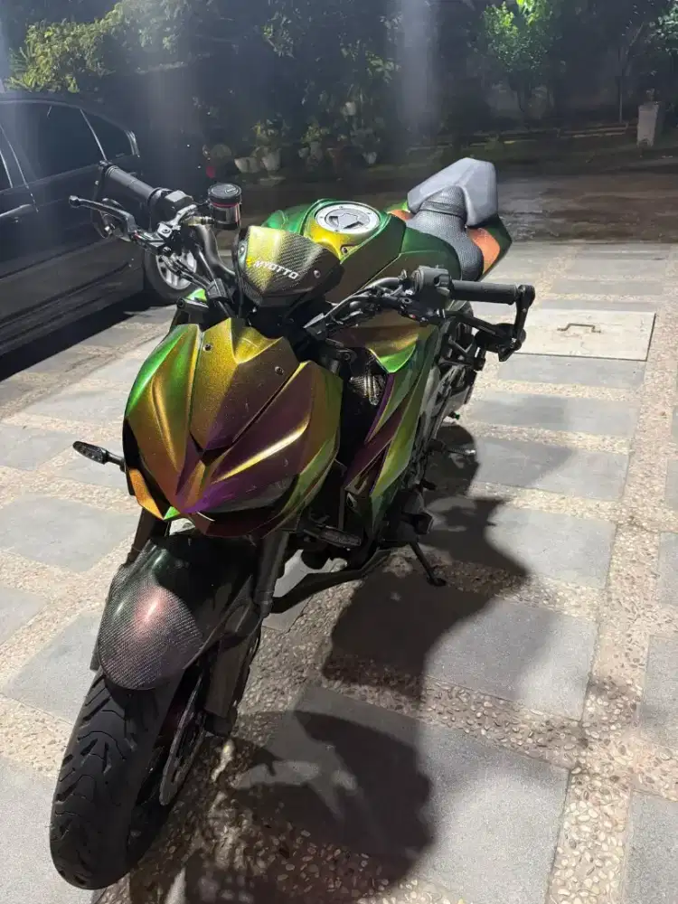 Kawasaki Z1000 Sugomi 2016