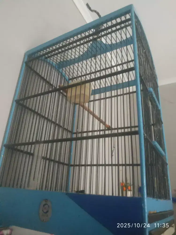 Kandang Kosan No 1